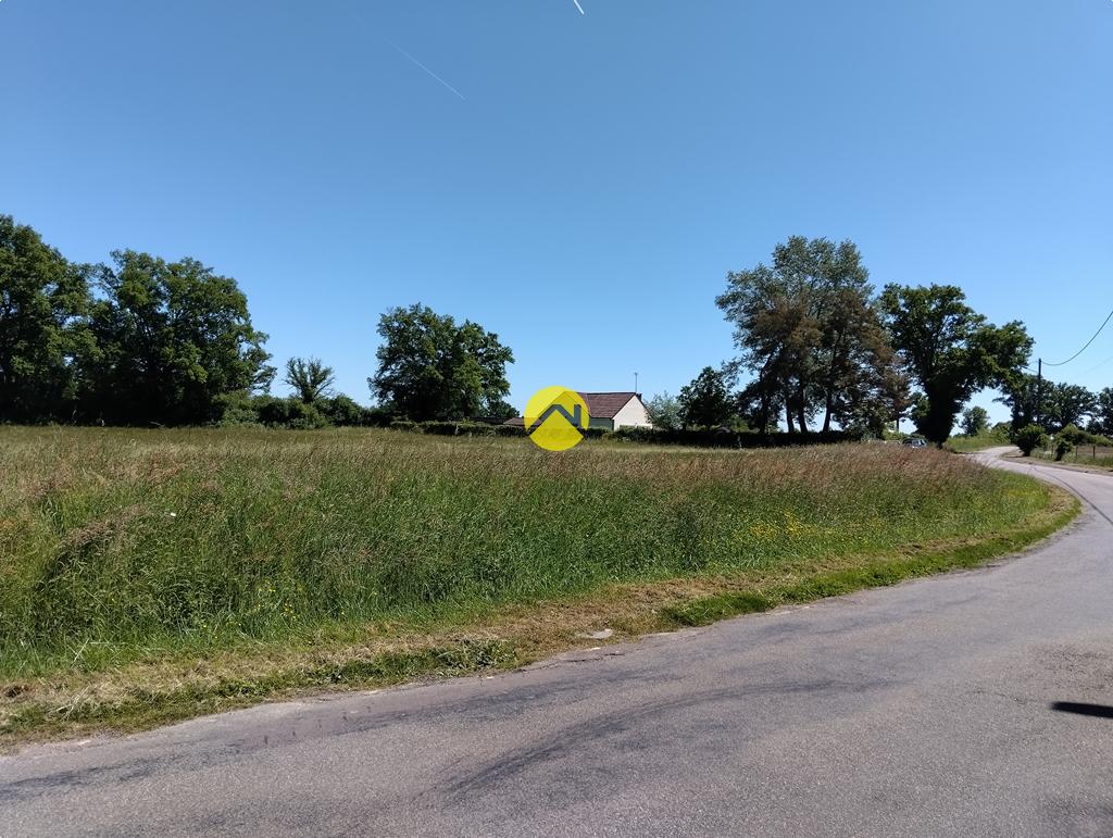 Grand terrain plat à bâtir à Lurcy-Lévis, photo 6