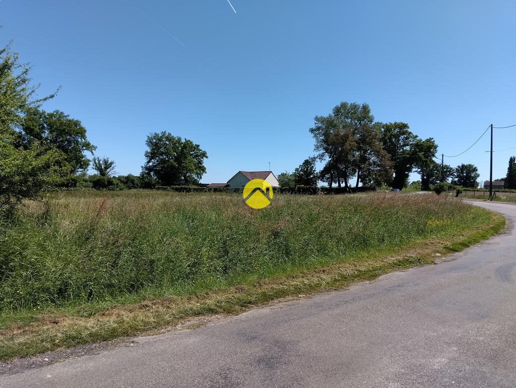 Grand terrain plat à bâtir à Lurcy-Lévis, photo 14