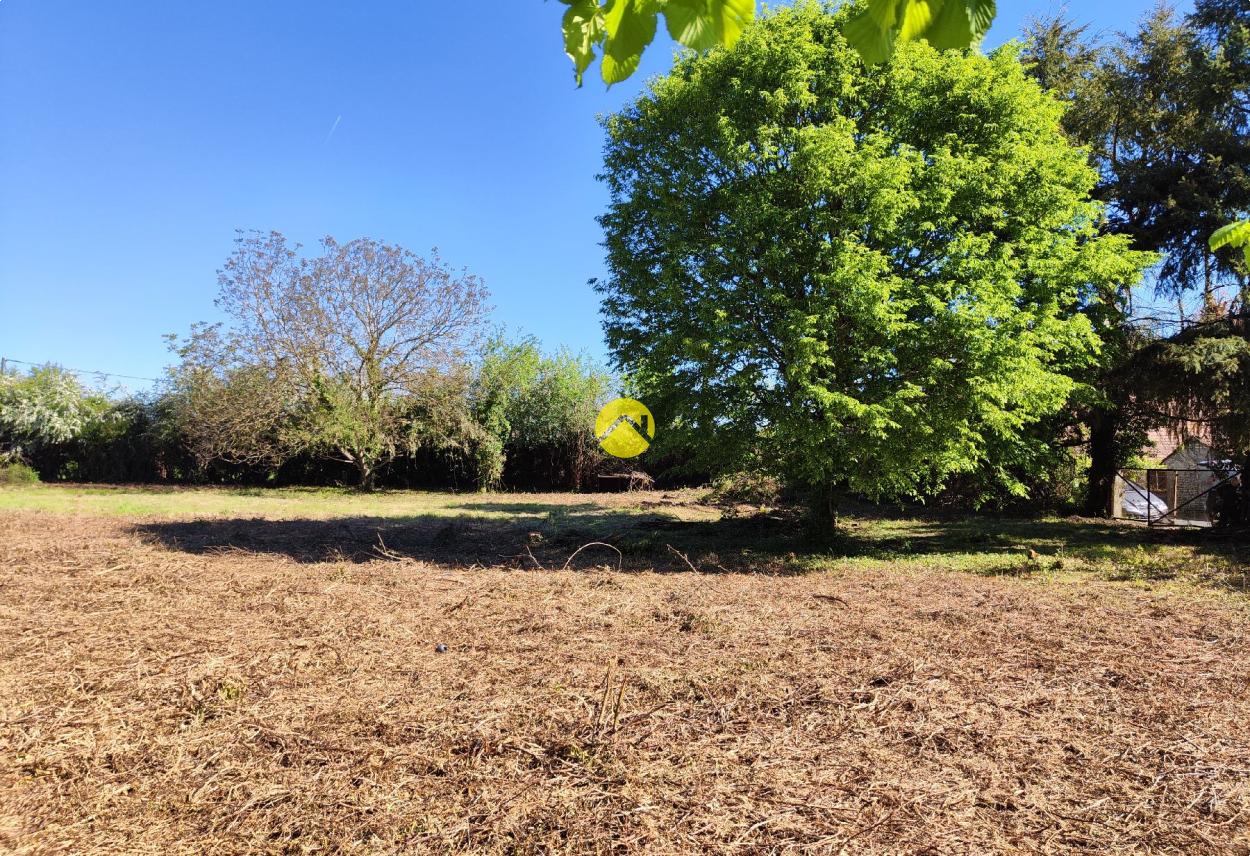 TERRAIN CAMPAGNE BERRICHONNE · à Precy · 19 000 €
