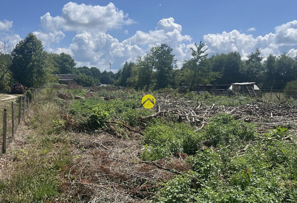 SUPERBE TERRAIN2529M² CONSTRUCTIBLE · à Lamotte Beuvron · 85 000 €
