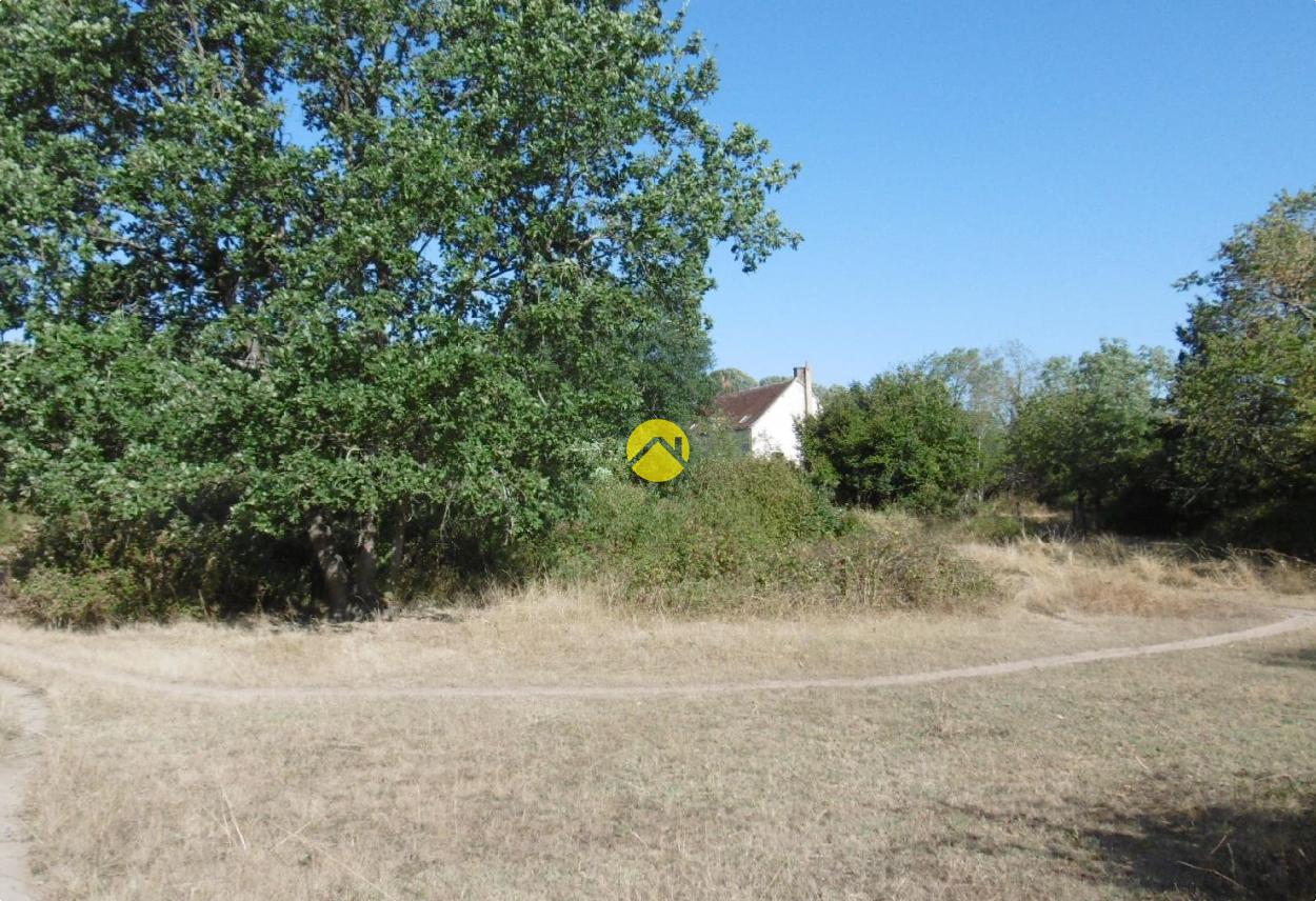 Maison 6 pièces 176 m² à Saint-Hilaire-sur-Benaize, photo 19