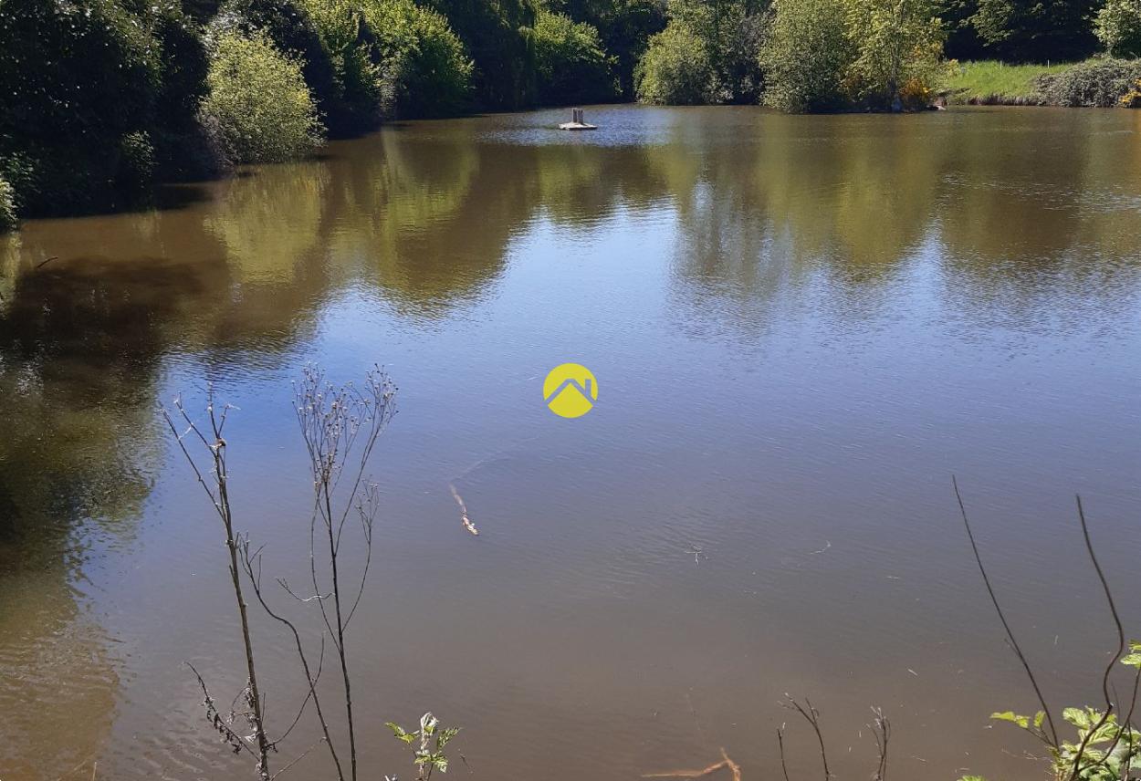 Terrain 11 ha avec étang · à Néris les Bains · 194 000 €