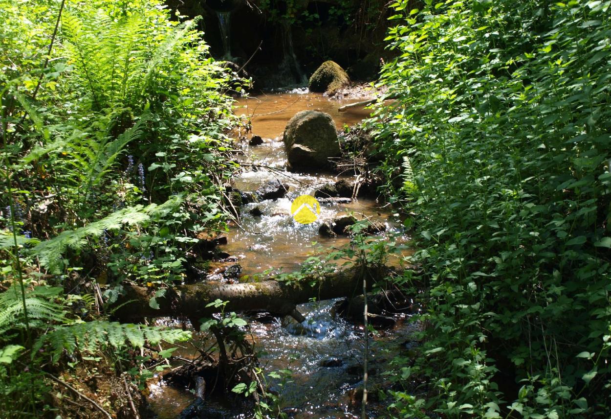 Terrain 11 ha avec étang à Néris-les-Bains, photo 3