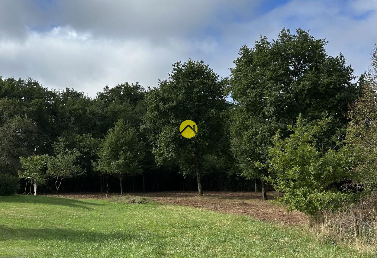 TERRAIN A BATIR · à La Guerche-sur-l'Aubois · 25 000 €