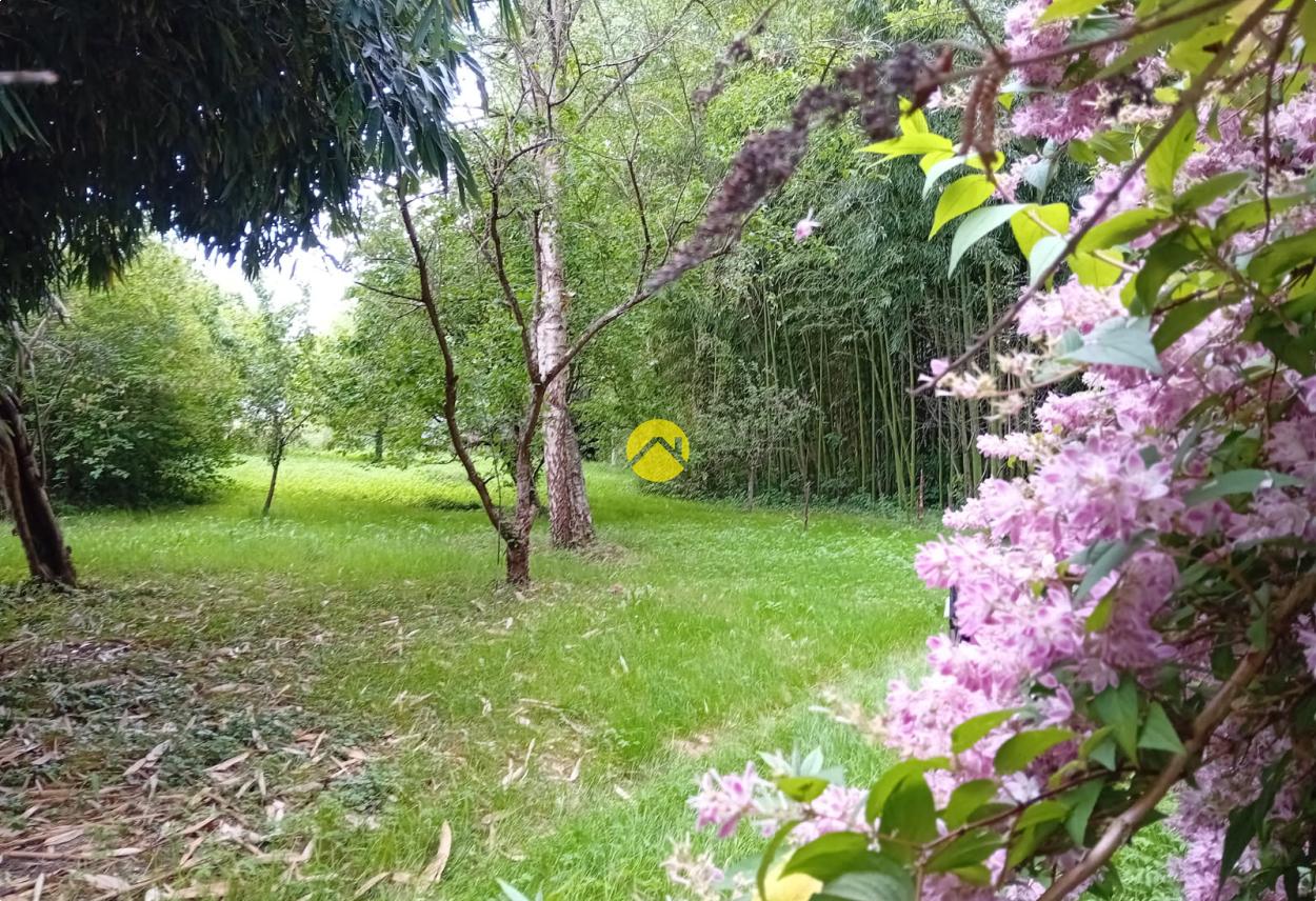 ET AU MILIEU COULE LA RIVIÈRE à Bourges, photo 10