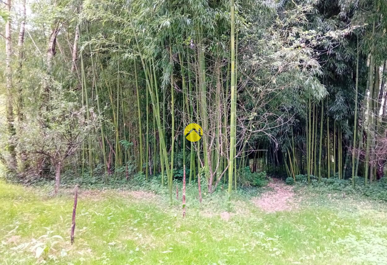 ET AU MILIEU COULE LA RIVIÈRE à Bourges, photo 8
