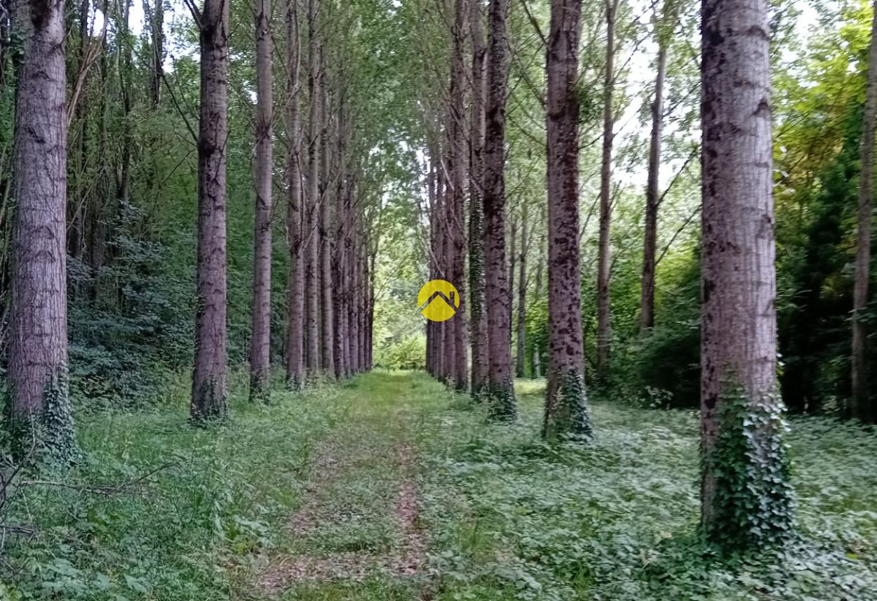 ET AU MILIEU COULE LA RIVIÈRE à Bourges, photo 9