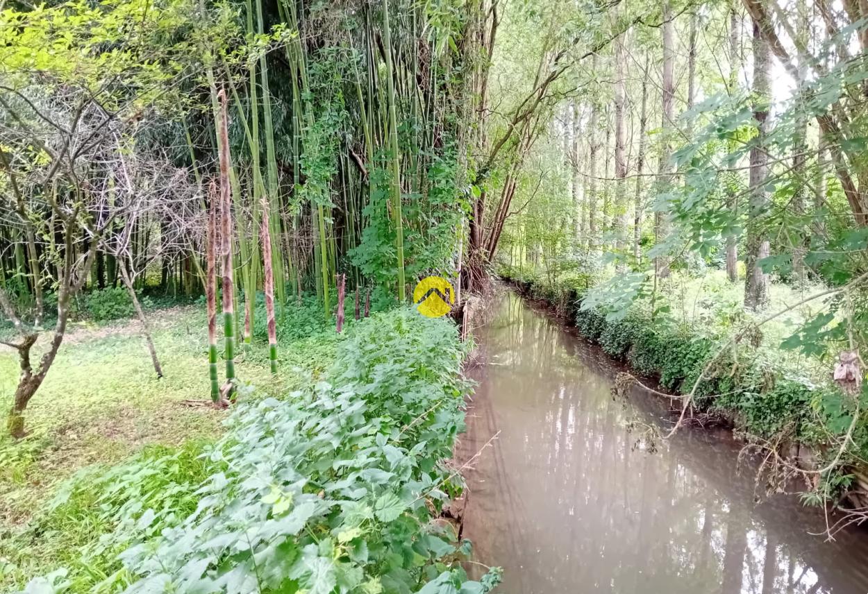 ET AU MILIEU COULE LA RIVIÈRE · à Bourges · 43 500 €