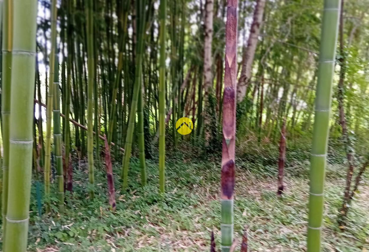 ET AU MILIEU COULE LA RIVIÈRE à Bourges, photo 5