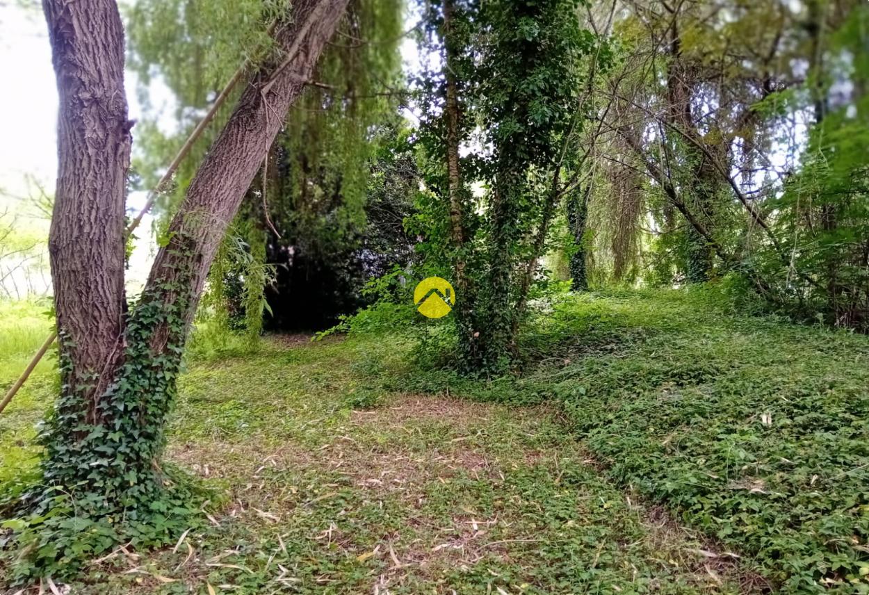 ET AU MILIEU COULE LA RIVIÈRE à Bourges, photo 6