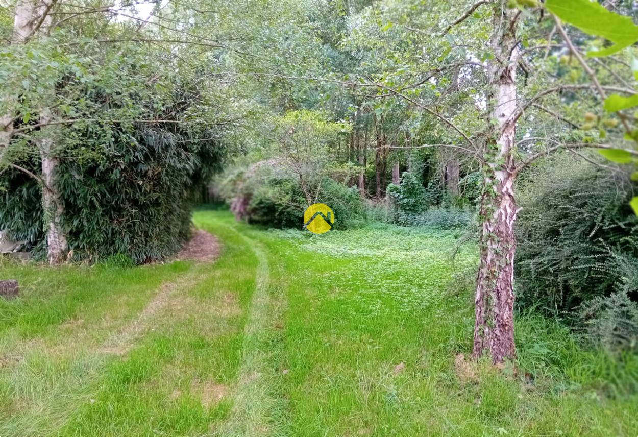 ET AU MILIEU COULE LA RIVIÈRE à Bourges, photo 4