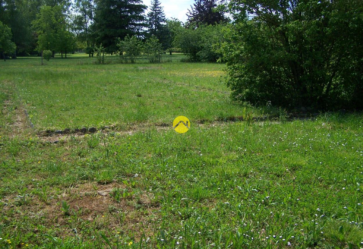ET AU MILIEU COULE LA RIVIÈRE à Bourges, photo 13