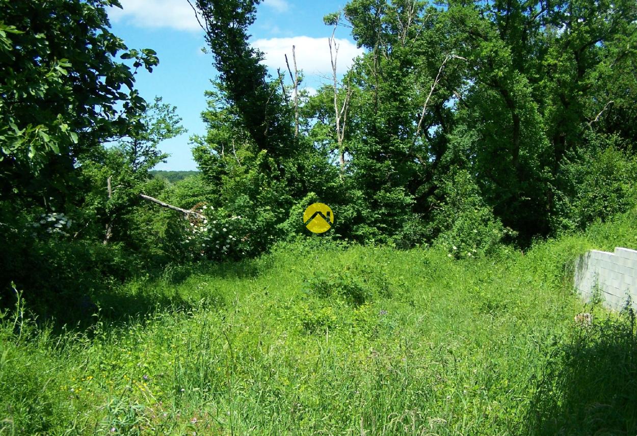 ET AU MILIEU COULE LA RIVIÈRE à Bourges, photo 12