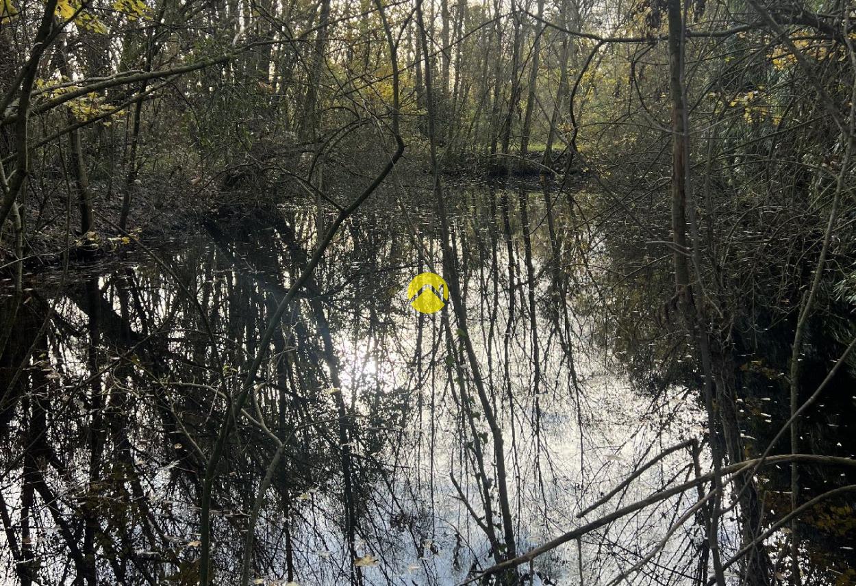ET AU MILIEU COULE LA RIVIÈRE à Bourges, photo 17