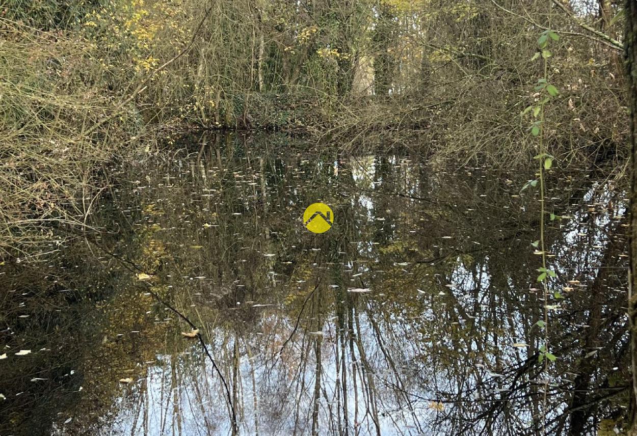 ET AU MILIEU COULE LA RIVIÈRE à Bourges, photo 18