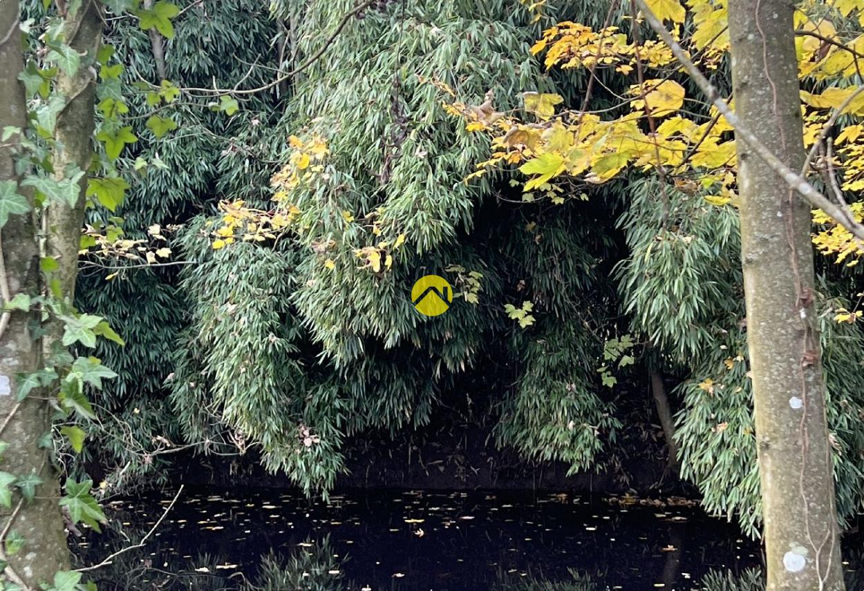 ET AU MILIEU COULE LA RIVIÈRE à Bourges, photo 19