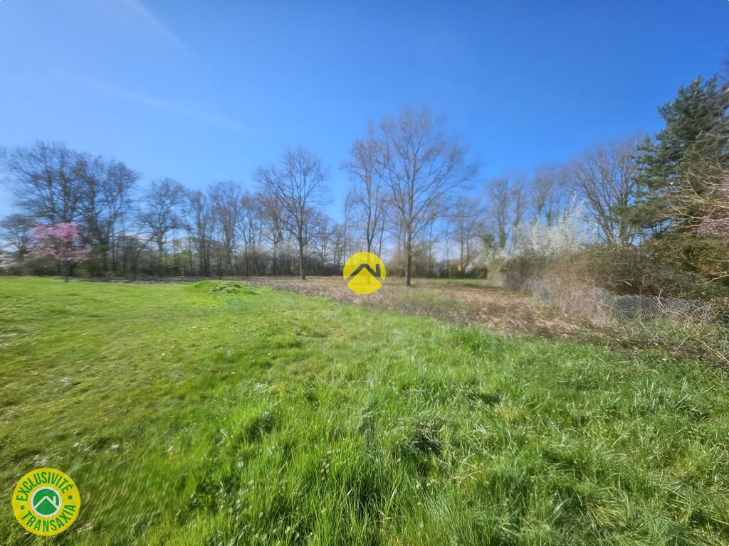 Terrain possibilité de diviser