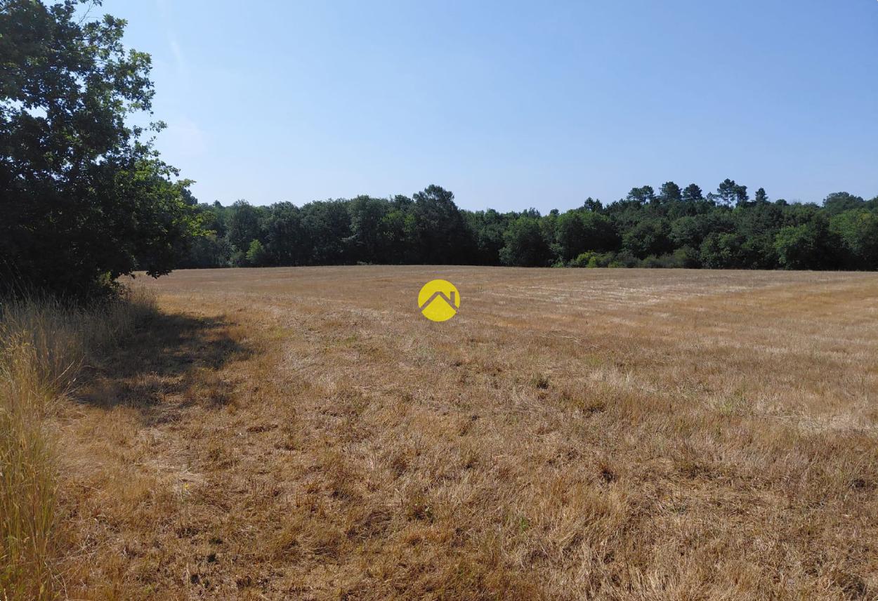 BELLE Terrain agricole · à Le Bugue · 26 641 €