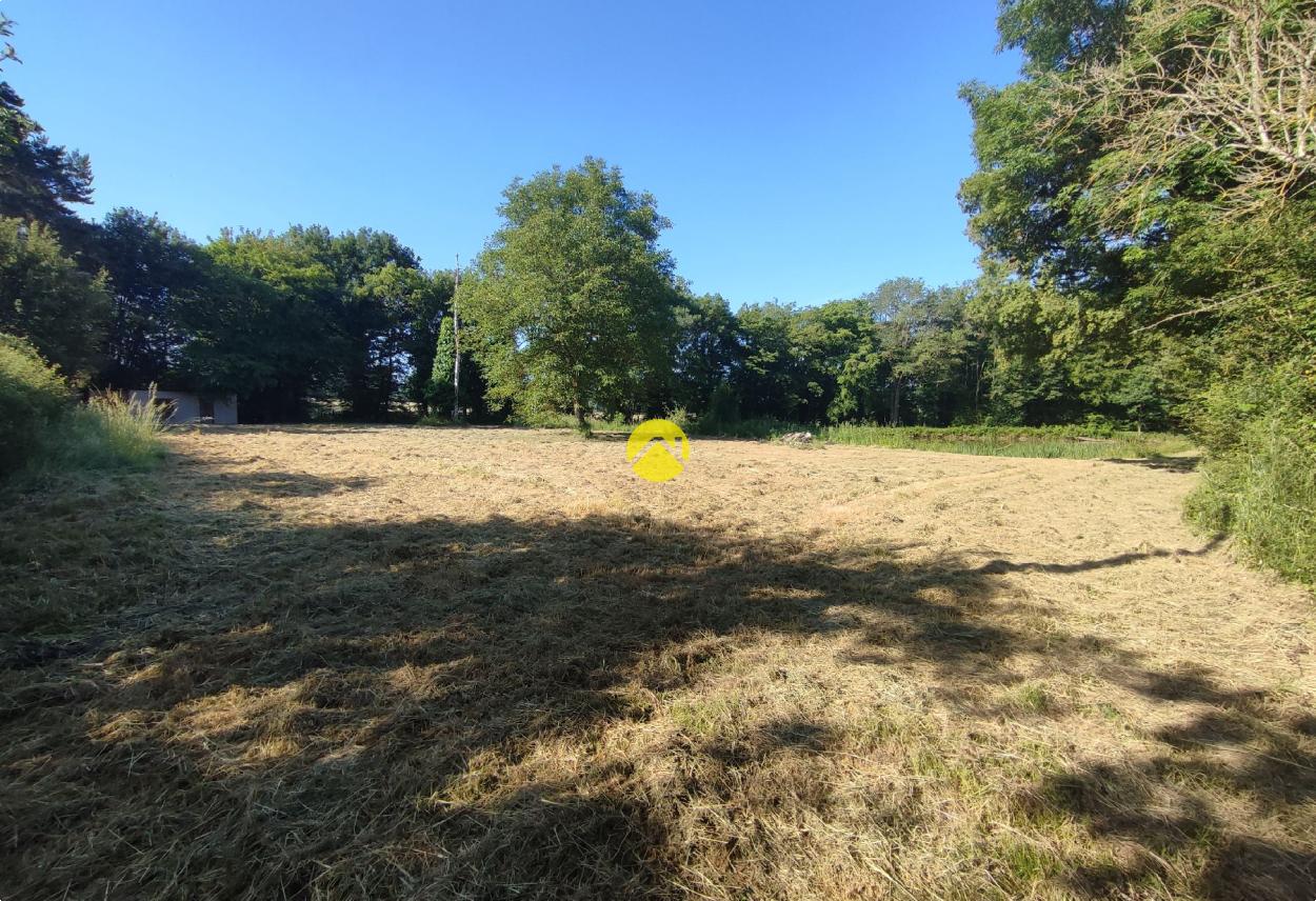 Étangs à l'abris des regards ! à Aubigny sur Nere, photo 6
