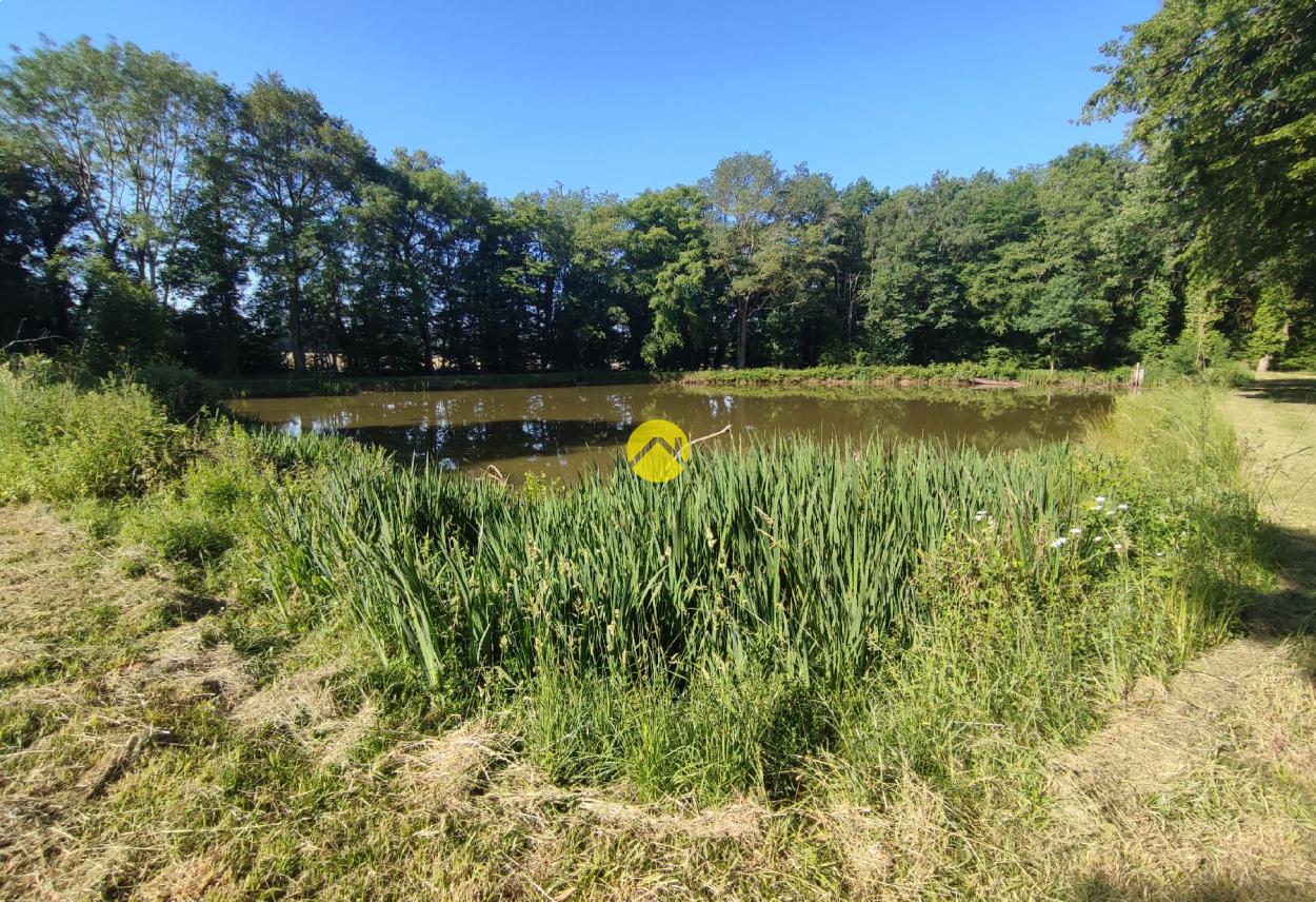 Étangs à l'abris des regards ! à Aubigny sur Nere, photo 3
