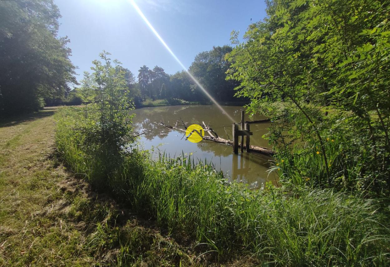Étangs à l'abris des regards ! · à Aubigny sur Nere · 39 999 €