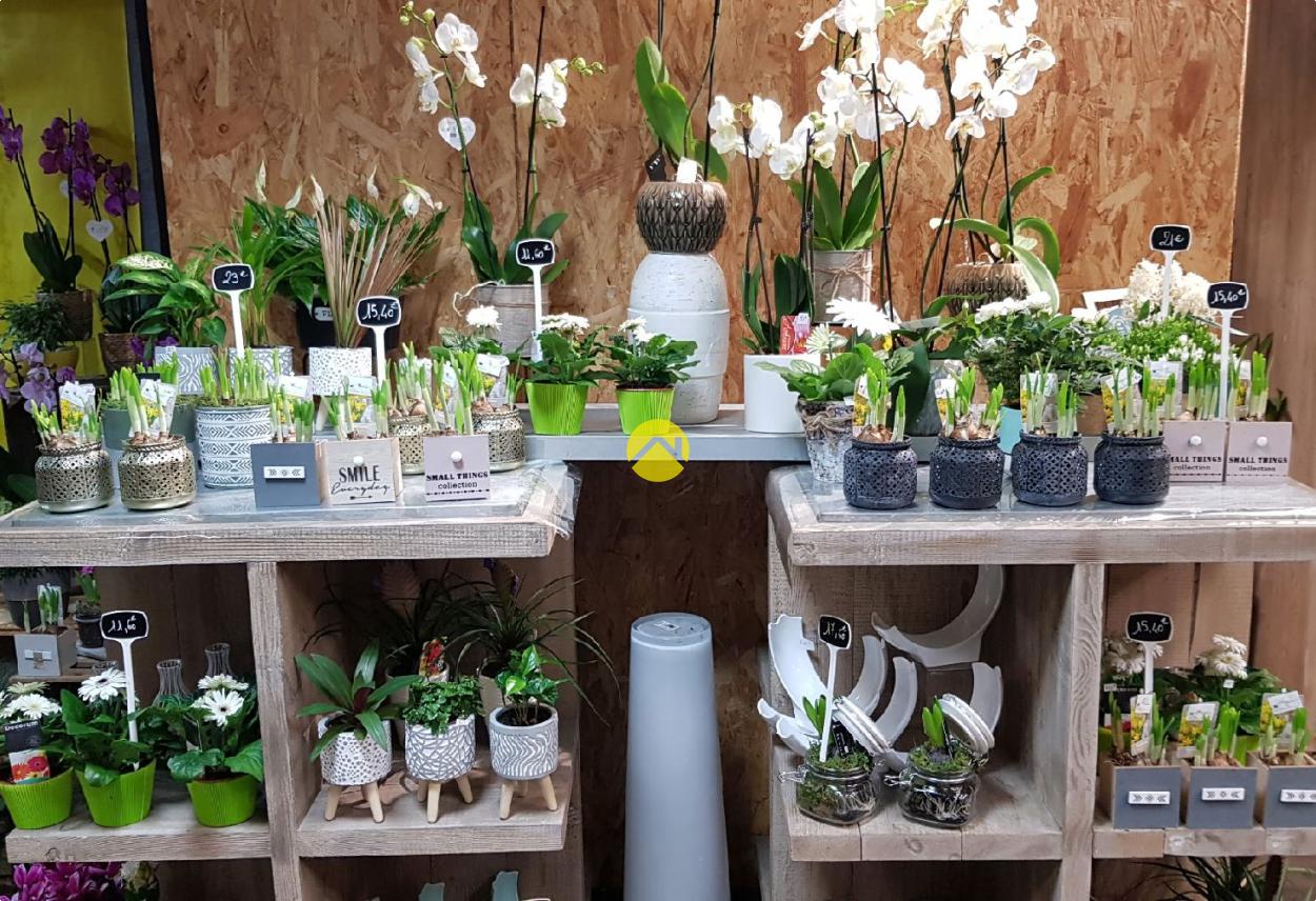 Immeuble 4 pièces 160 m² à Saint Florent sur Cher, photo 8