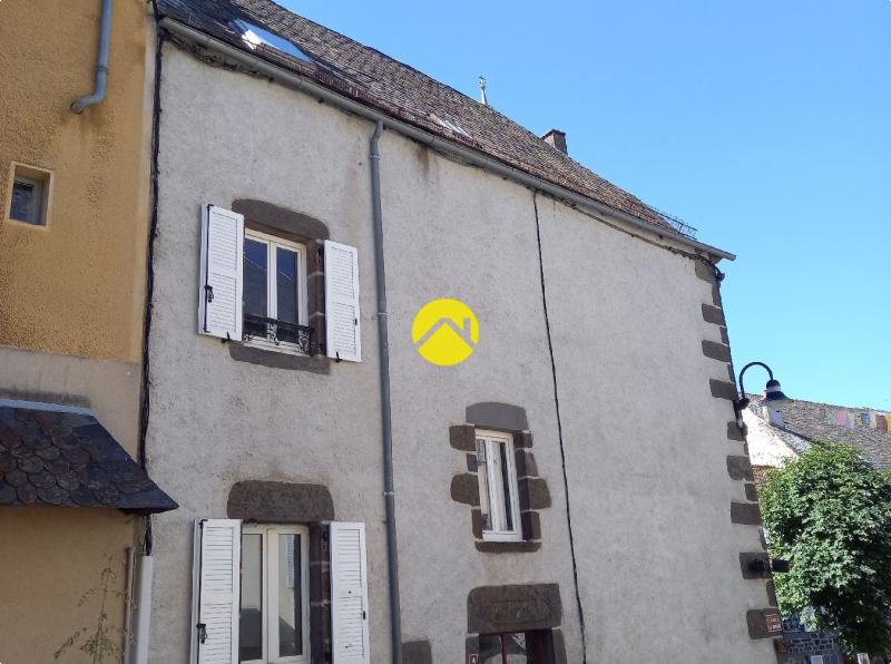Appartement 10 pièces 151 m² à Pierrefort, photo 6