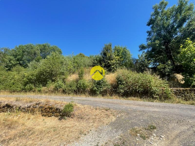 TERRAIN · à Pierrefort · 10 000 €