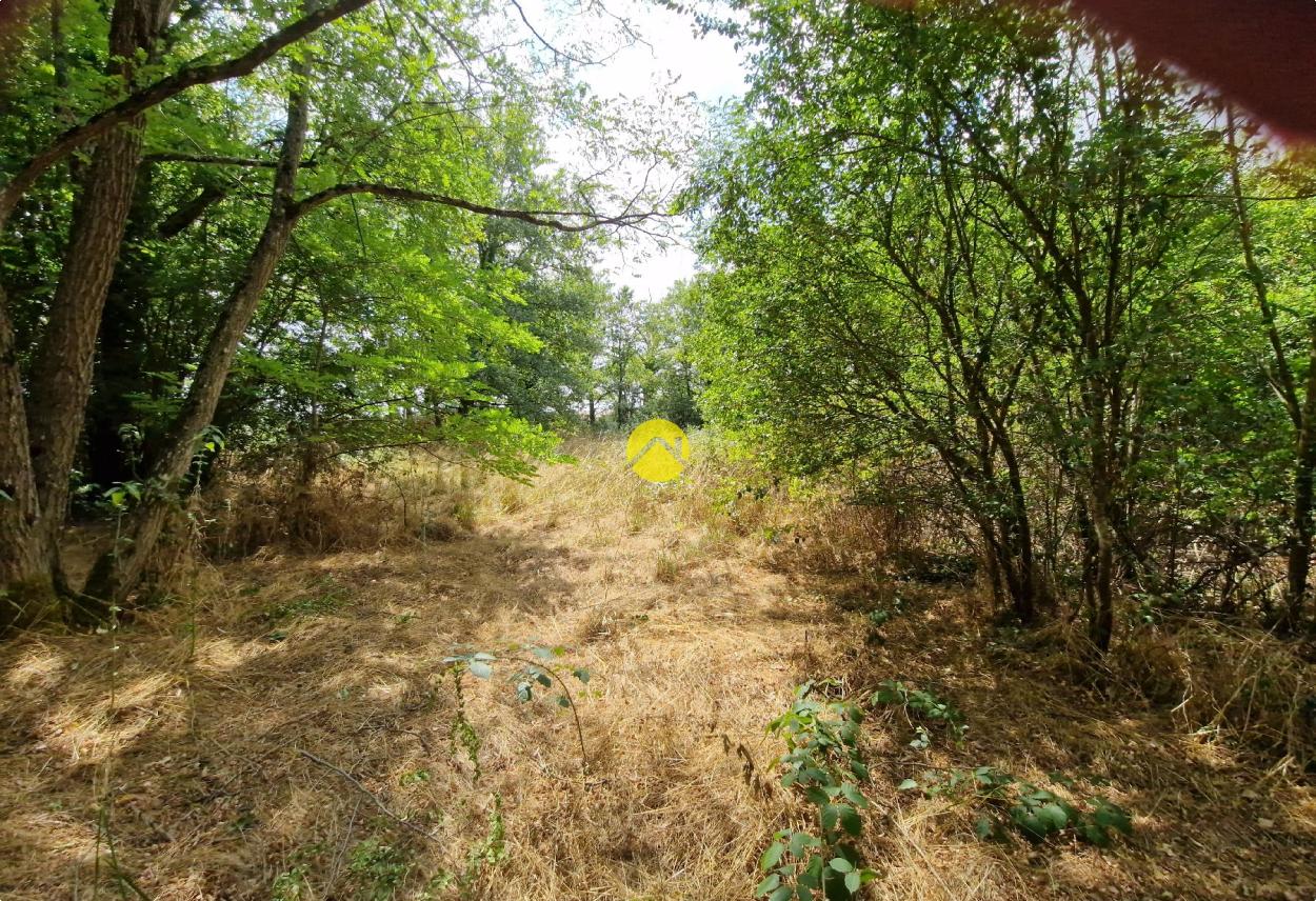 Terrain constructible de 2505 m² · à La Guerche-sur-l'Aubois · 24 000 €