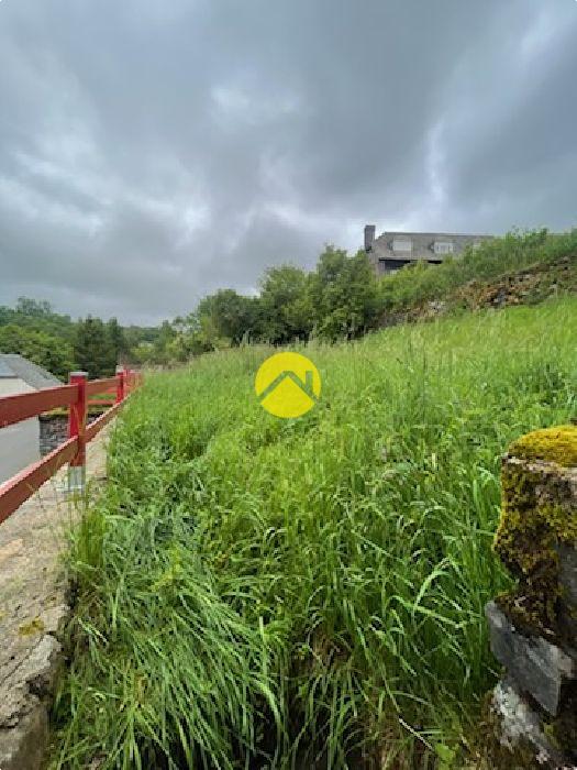 TERRAIN à Pierrefort, photo 4