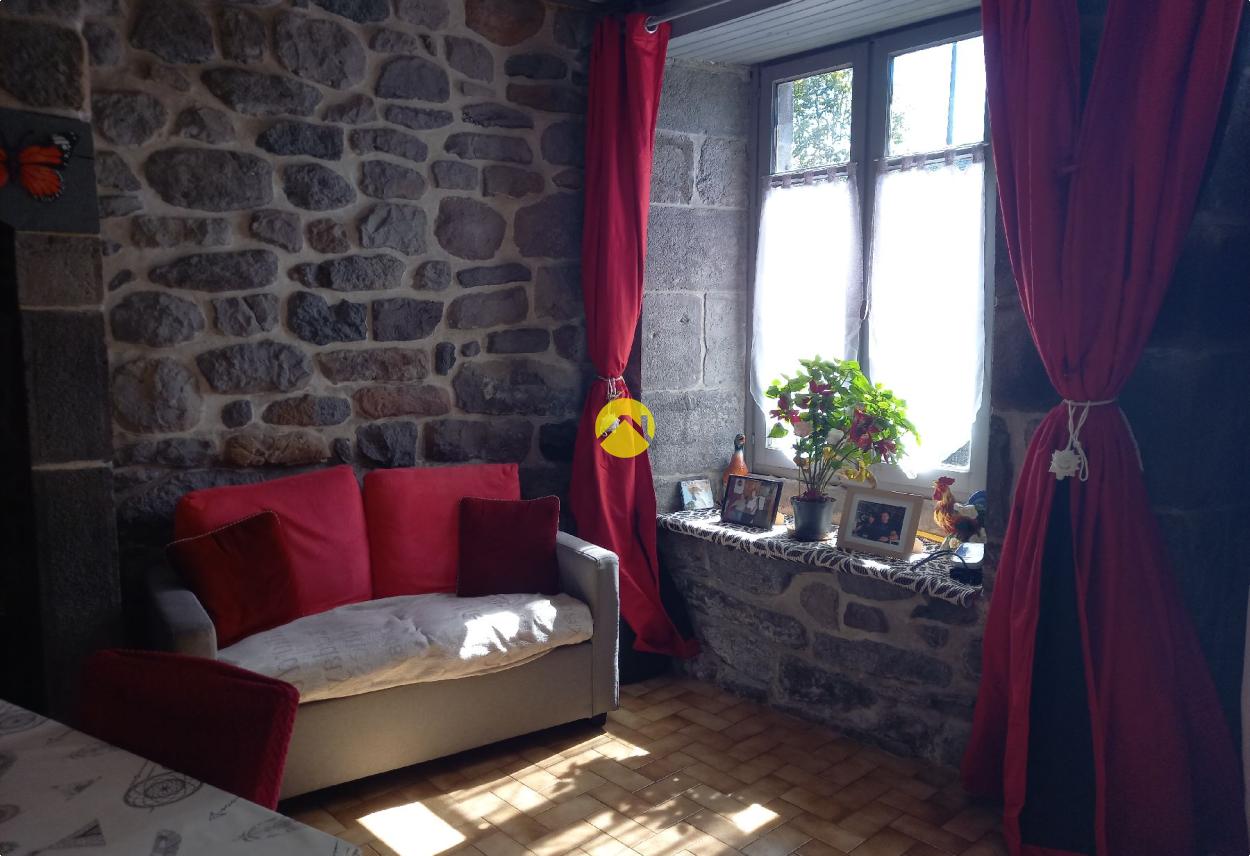 Maison 9 pièces 168 m² à Pierrefort, photo 5