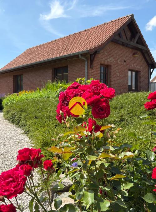 Maison 7 pièces 204 m² à Hesdin, photo 13