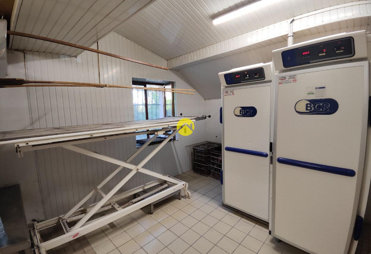 Immeuble 8 pièces 90 m² à Cours-les-Barres, photo 5
