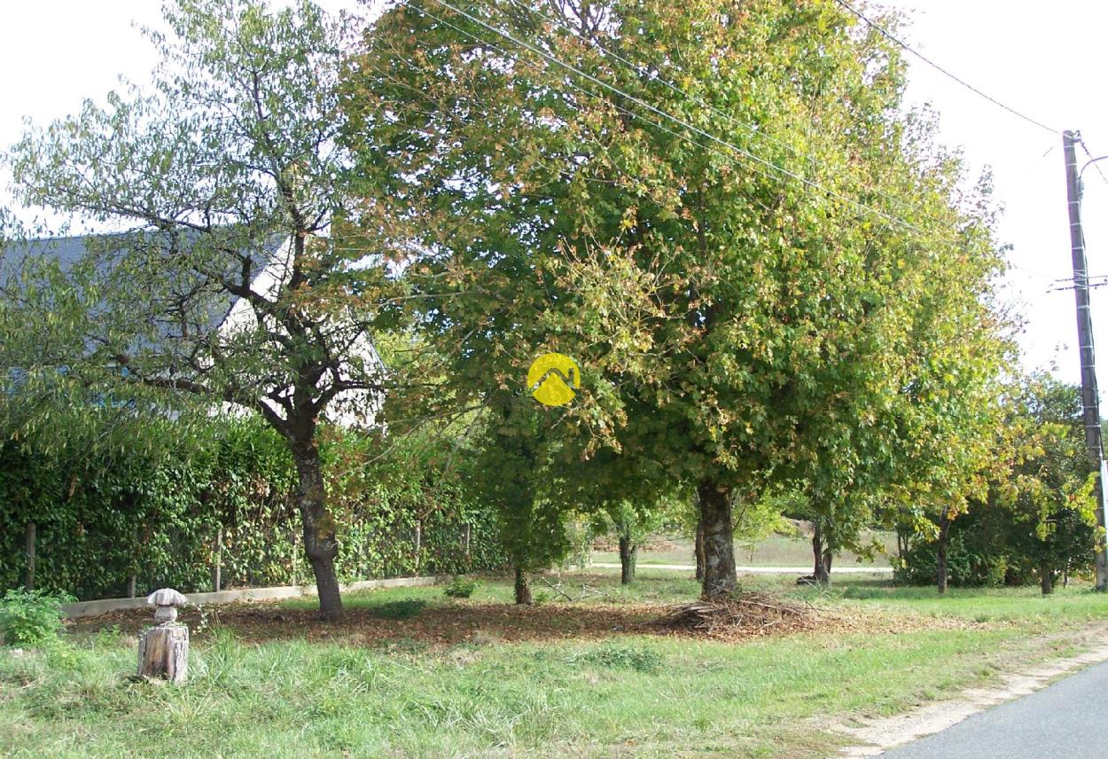 Maison 1 pièce 55 m² à Saint-Florent-sur-Cher, photo 3