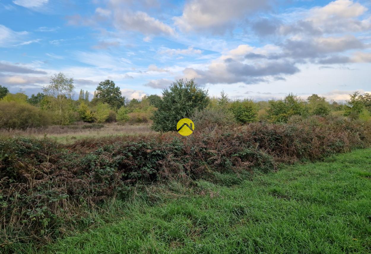 TERRAIN AGRICOLE DE 30510 M² à La Guerche-sur-l'Aubois, photo 7
